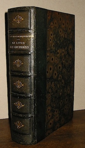 Oswald, Comte Kerchove de Denterghem (de) Le livre des Orchidées 1894 Gand - Paris Ad. Hoste - G. Masson